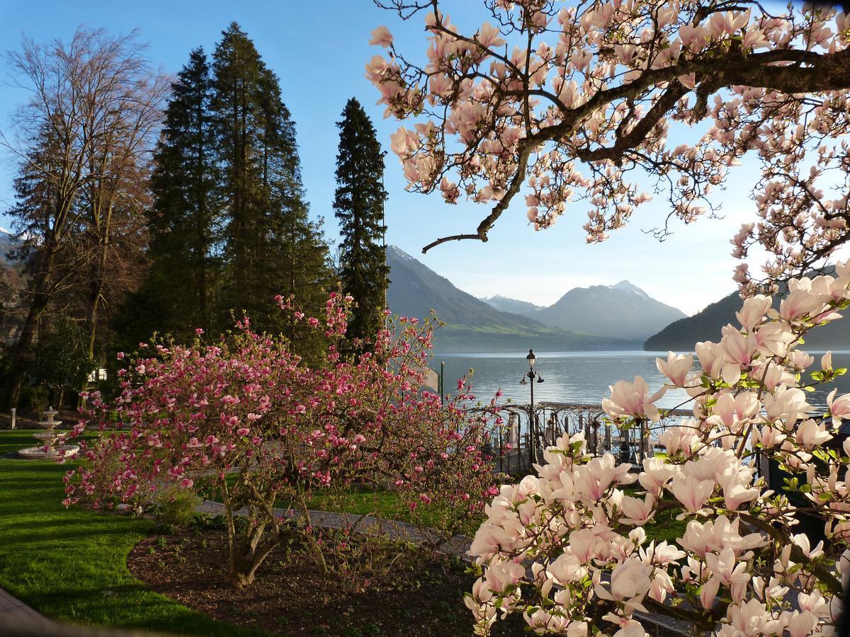 Hotel Vitznauerhof - Lifestyle Hideaway At Lake Lucerne Rum bild